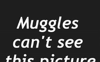 19: Muggle | Funny Harry Potter memes