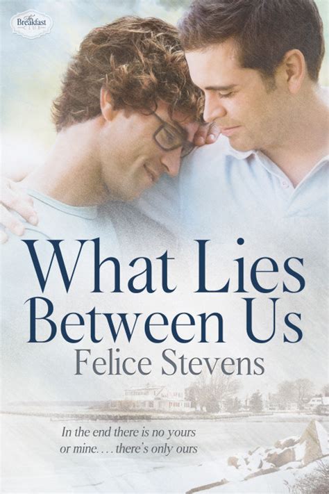 What Lies Between Us | Felice Stevens - Happily Ever Afters Guaranteed!