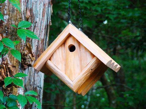 Chickadee Bird House Placement | Birdcage Design Ideas