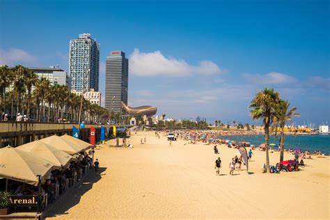 Barcelona Beach - A Guide To The Best Beaches In Barcelona Expatica ...