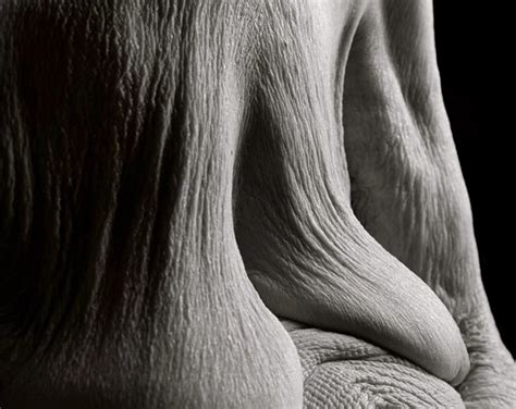 Close-Up Portraits Reveal What the Human Body Looks Like 100+ Years of ...