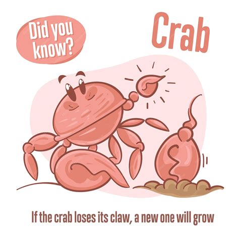 Premium Vector | Interesting facts about crab Did you know