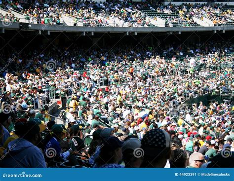 Sports crowd editorial photo. Image of coliseum, sports - 44923391