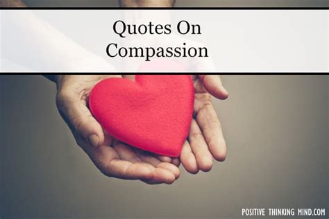 130 Best Compassion Quotes - Positive Thinking Mind