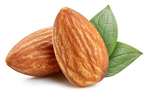 Premium Photo | Almond nut isolated with clipping path