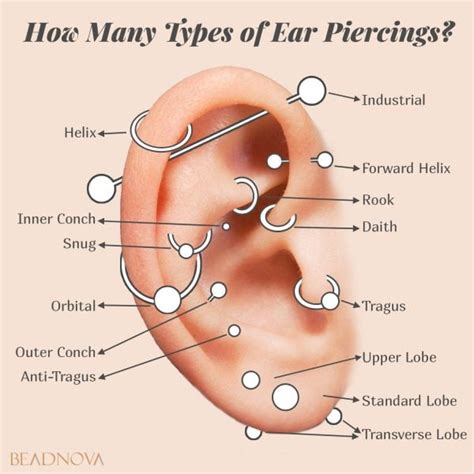 Popular Types of Body Piercings - Beadnova