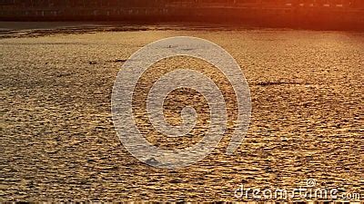 Aerial View of People Swimming at Sunrise in Penghu Beach, Taiwan Stock ...