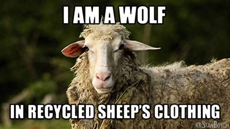 23 Funny Sheep Memes, Botch