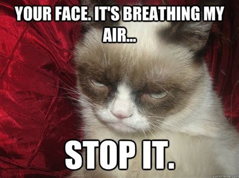 Grumpy Cat Quotes | Funny Collection World