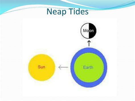 PPT - Waves and Tides PowerPoint Presentation, free download - ID:5422522