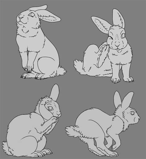 Warrenz Rabbit Sketches x 4 Completed 02/04/19 on The Verdant Hare's ...