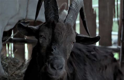 Nightmarish 'The Witch' Trailer Features Scary Goats & Blood Milk | Complex