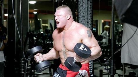 Brock Lesnar’s Intense Workout Routine, Diet Plan, and Training Video ...