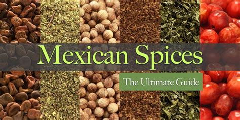 The Ultimate Guide to Mexican Spices - SpicesInc.com in 2021 | Mexican ...