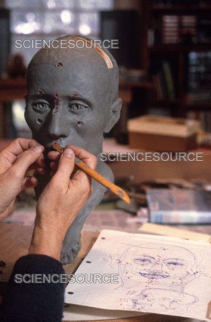 Forensic Facial Reconstruction | Stock Image - Science Source Images