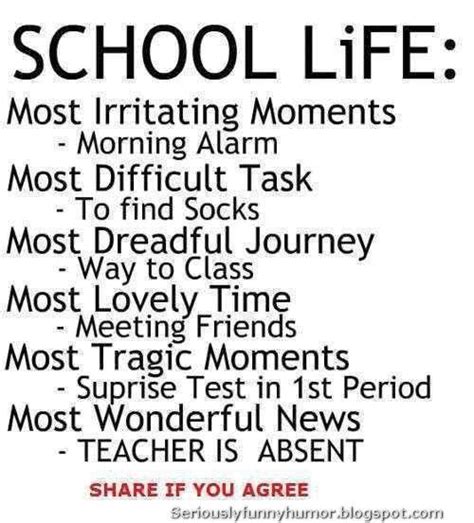 School Life | School life quotes, School quotes funny, Cute quotes for life