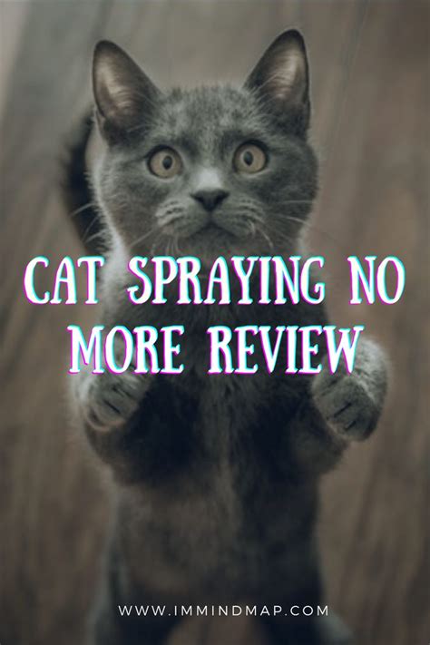 Cat Spraying No More Review | Cat spray, Pet market, Financial fitness