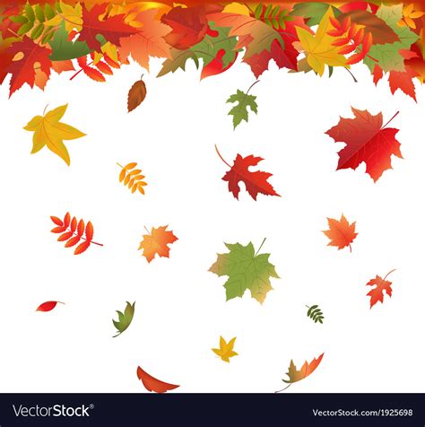 Falling leaves Royalty Free Vector Image - VectorStock