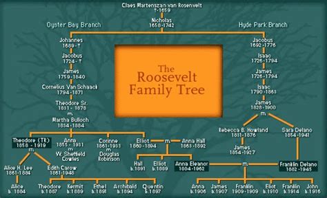 Pine Knoll Shores History: Roosevelt Family Tree