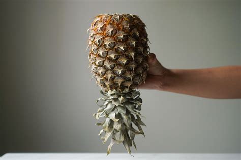 Upside Down Pineapples: What Do They Mean? – A Comprehensive Guide ...