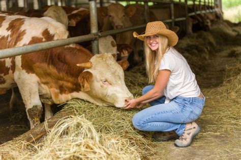 Farmer With Cows Free Stock Photo - Public Domain Pictures