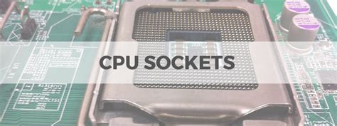 CPU Sockets – Everything You Need to Know - The Tech Lounge