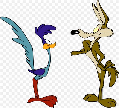 Wile E. Coyote And The Road Runner Looney Tunes Cartoon, PNG ...