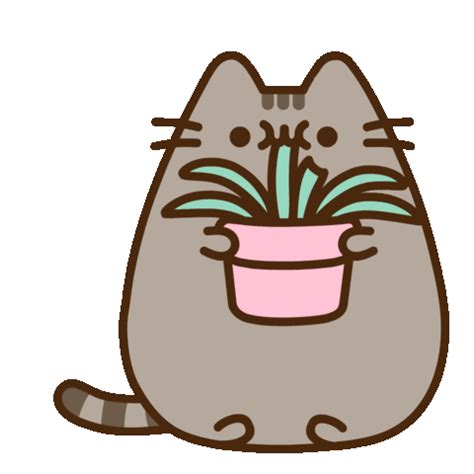 Pusheen GIFs on GIPHY - Be Animated | Pusheen cute, Pusheen, Pusheen gif