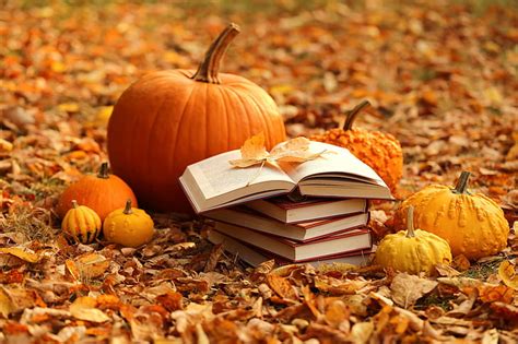 HD wallpaper: autumn, leaves, books, harvest, pumpkin, yellow ...