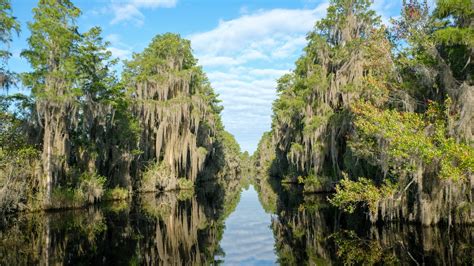 Okefenokee Swamp Camping