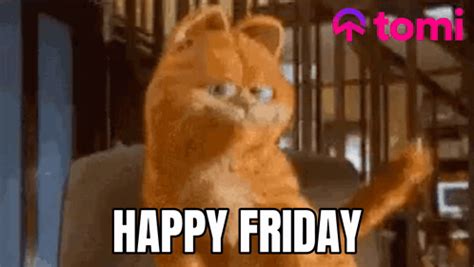 Friday Cat GIFs | GIFDB.com