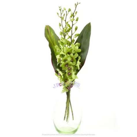 Dendrobium Orchid Bouquet, 30 bqts. - buy wholesale flowers - JR Roses