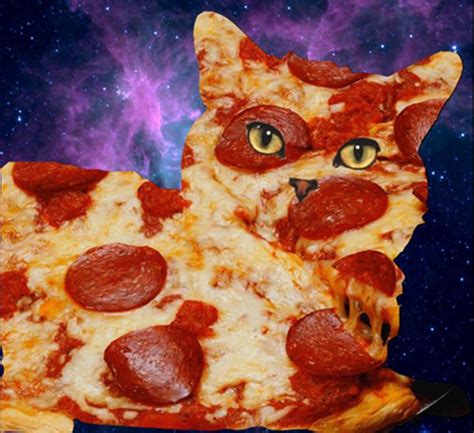 pizza and cats