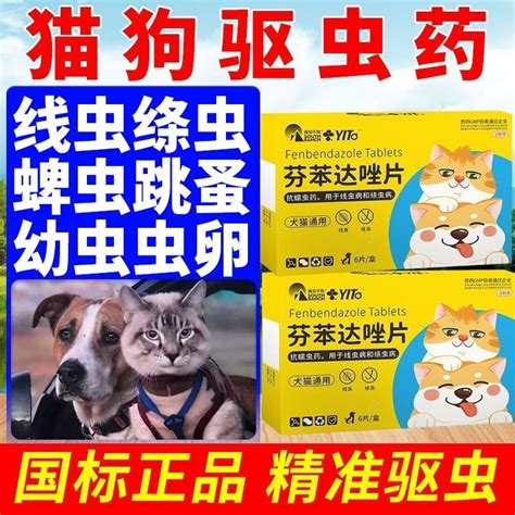 Pet dog and cat deworming medicine coccidia toxoplasmosis infection E ...