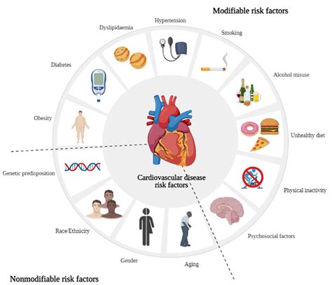 Vascular Health And Risk Management