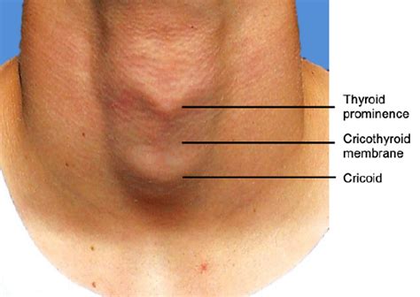 1.27: Cricothyroidotomy and Needle Cricothyrotomy - Medicine LibreTexts