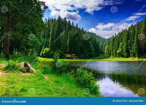 Lovely Summer Scenery Near the Lake in Summer Stock Image - Image of ...