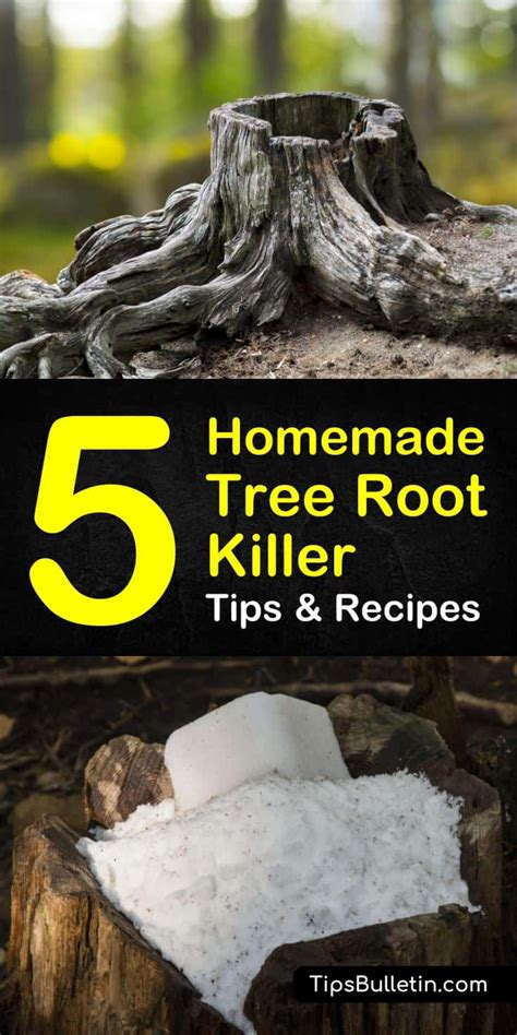 5 Simple Homemade Tree Root Killer Recipes