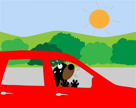 Heatstroke and Dogs - Dogs and Cats Pet Care and Advice plus Wild Animals.