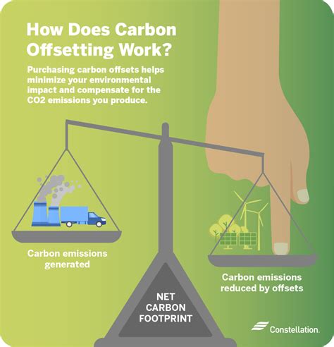 What Is Carbon Offsetting? | Constellation