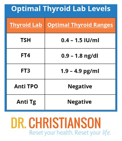 Update: Testing Your Thyroid and the Definitive Guide to Optimal Ranges ...