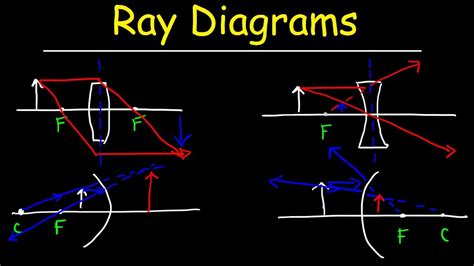 [DIAGRAM] Manta Ray Diagram - MYDIAGRAM.ONLINE