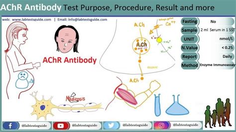 Myasthenia Gravis Antibodies Test Purpose and Overview | Lab Tests Guide