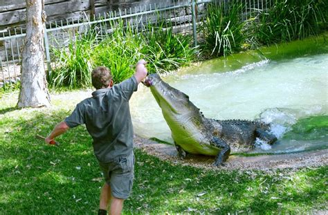 Australian Reptile Park - Aussie Bush Camp