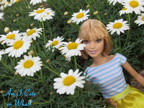 A Focus on the Cute: *In Store Report* Target| New 2016 Barbie ...