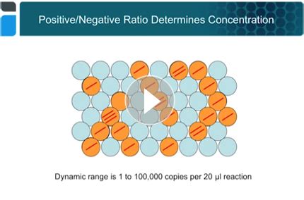 Introduction to Droplet Digital™ PCR: Workflow and Applications | Bio-Rad