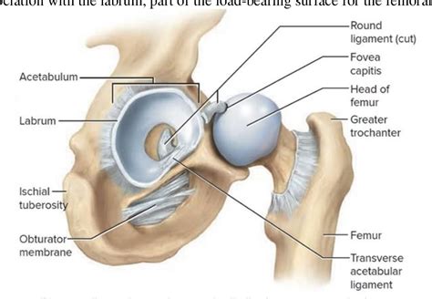 Figure 1 from Augmented Reality System in Total Hip Arthroplasty Using ...