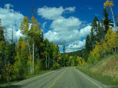 Kaibab National Forest Archives - Geogypsy