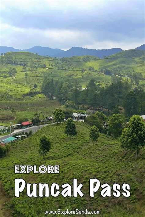 Puncak Pass | The #1 Family Holiday Destination in The Land of Sunda