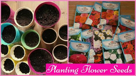 Planting Flower Seeds - YouTube